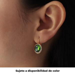 ARETE GANCHO C/ PIEDRAS EN BAÑO DE ORO
